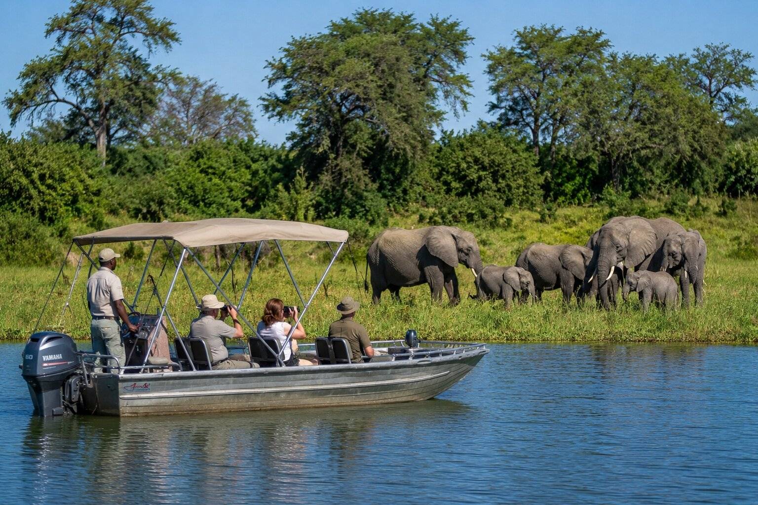 Boat safari at Liwonde National Park