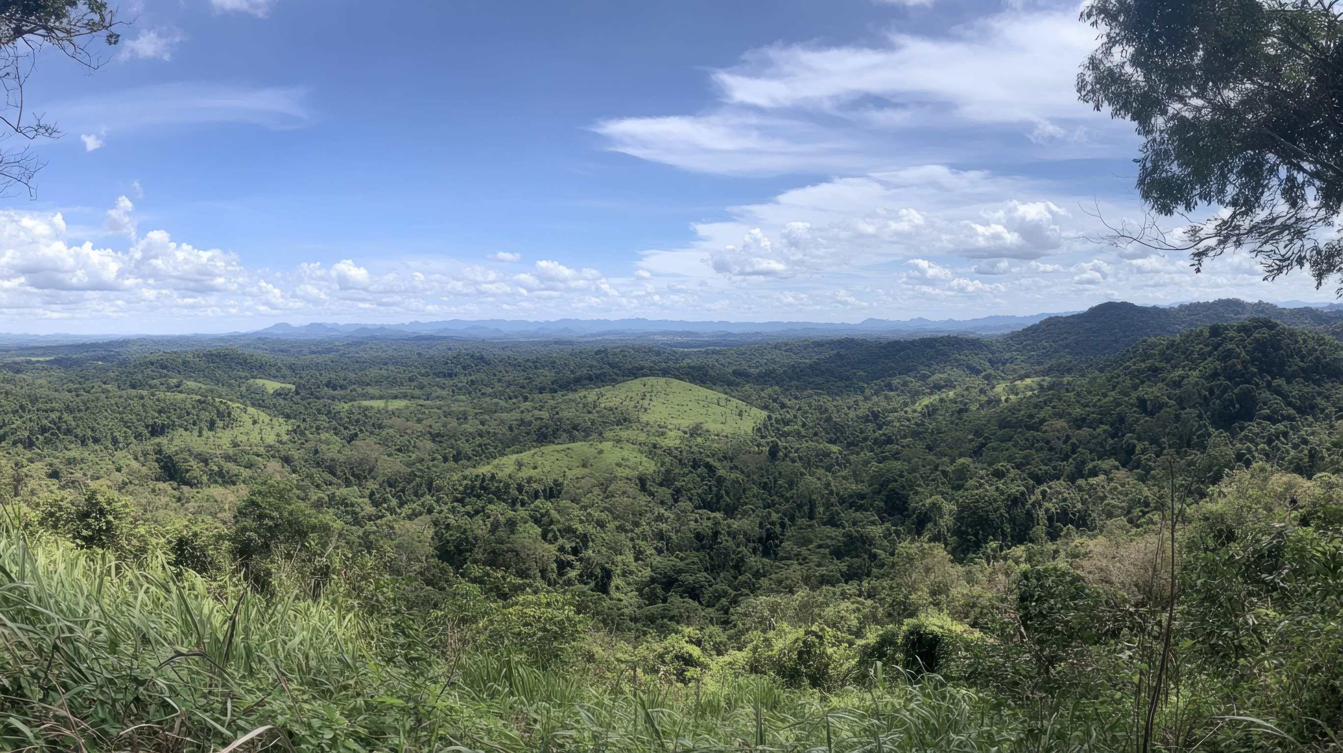 Dzalanyama Forest Reserve