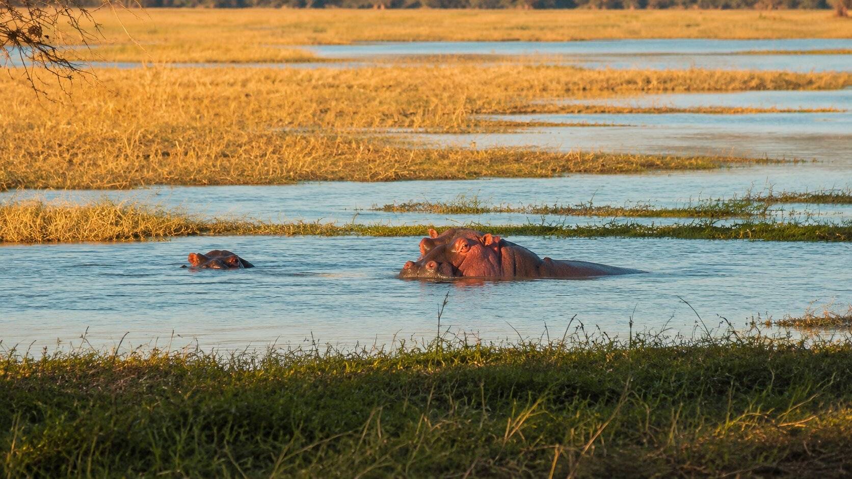 Elephant Marsh, South Malawi