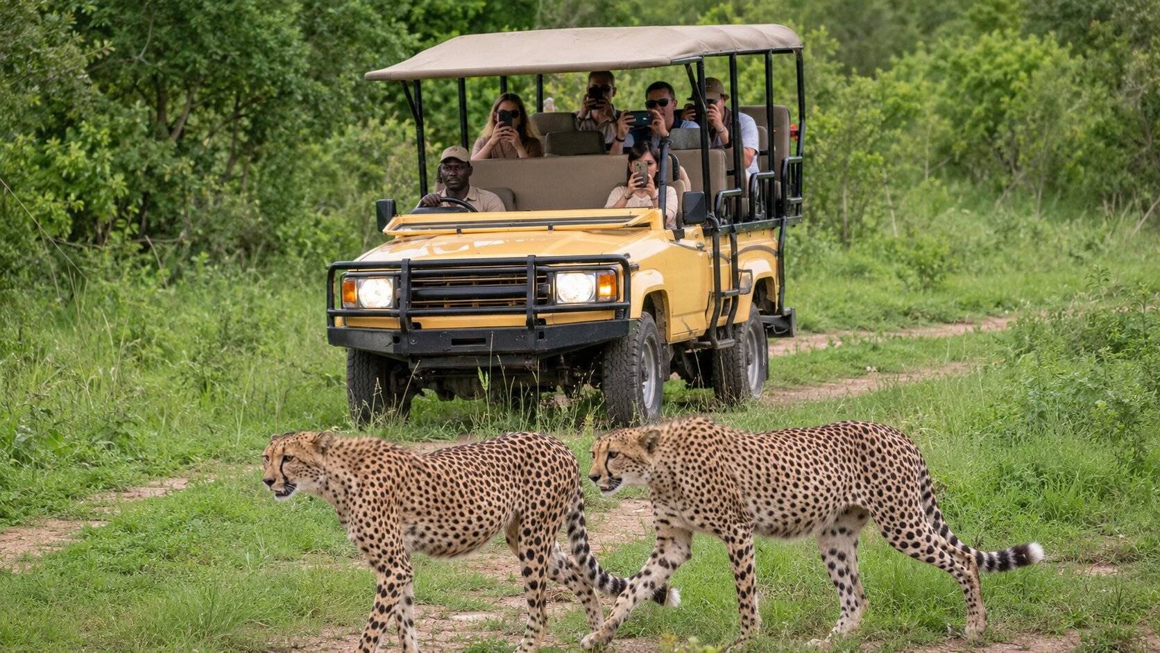 Game Drives in Majete Wildlife Reserve
