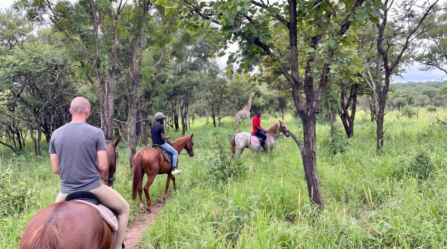 Horseback safari through Malawi woodland