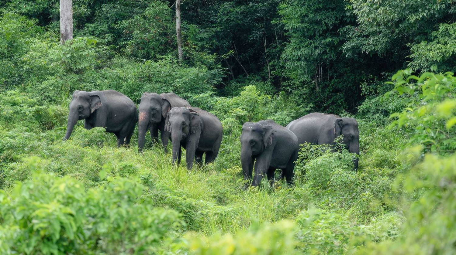 Kasungu National Park Malawi