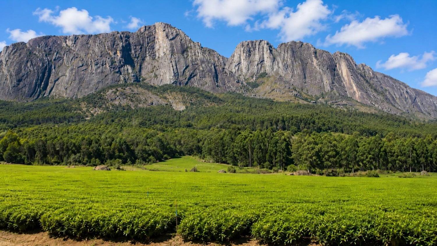 Mount Mulanje